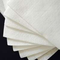 PP 100 Micron Filter Cloth for Liquid Filtration